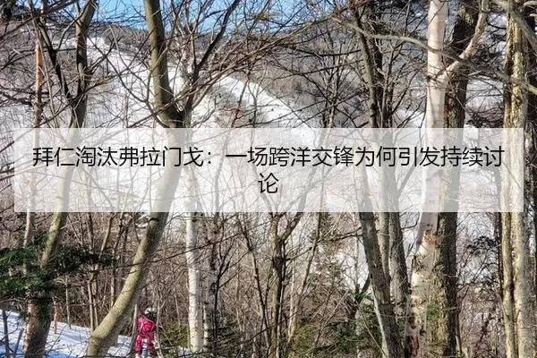 拜仁淘汰弗拉门戈：一场跨洋交锋为何引发持续讨论